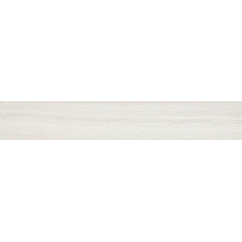 DSAS4730_101