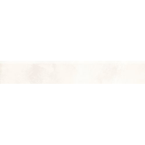 DSAS4805_101