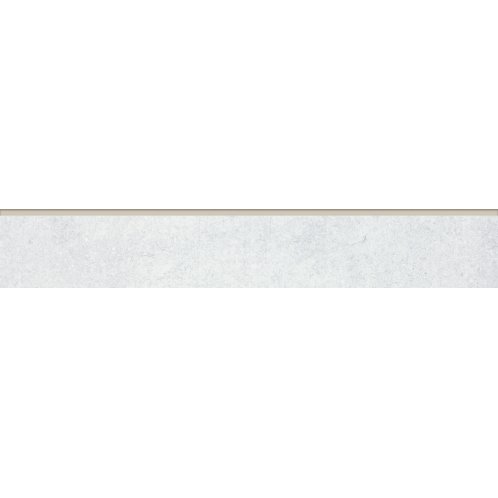 DSAS4660_101