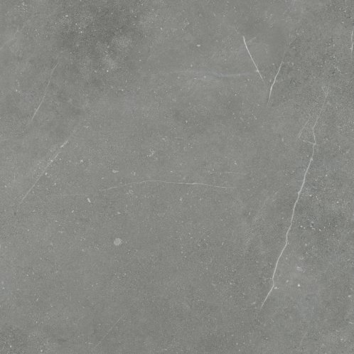 DAK62884.1_101