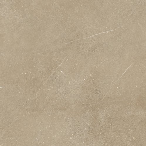 DAK62886.1_103