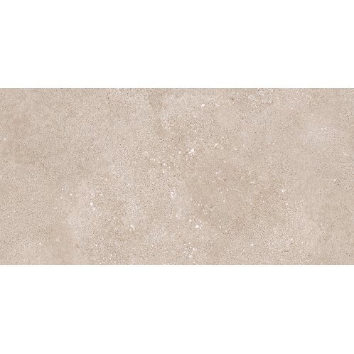 DAKSR794.1_101