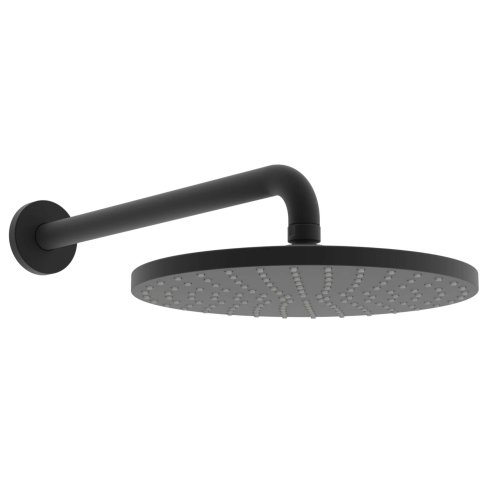 Hansa Viva - Hlavová sprcha, průměr 25 cm, matná černá 4426020033