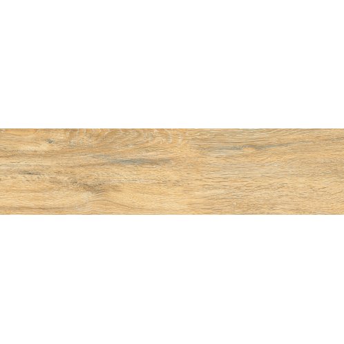 DAR82896