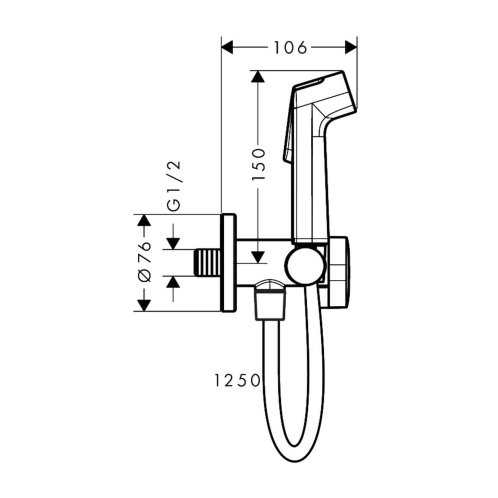 Hansgrohe - Nástěnný ventil s ruční bidetovou sprškou, chrom 29230000