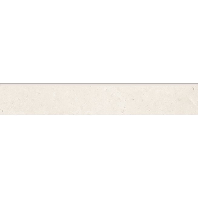 DSAS4800_101