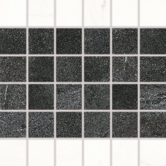 WDM05133_101