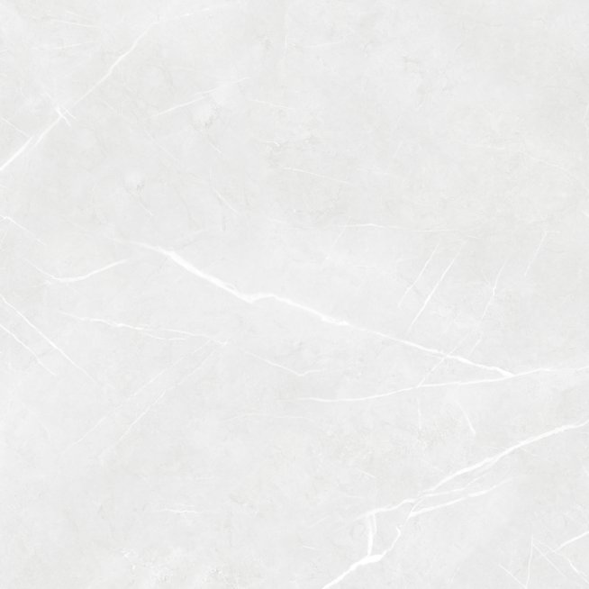 DAK62902.1_101