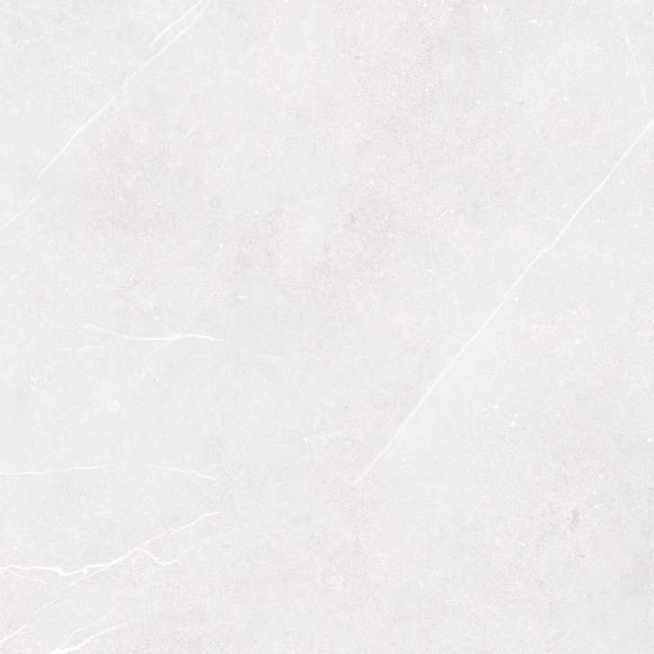 DAK62882.1_103