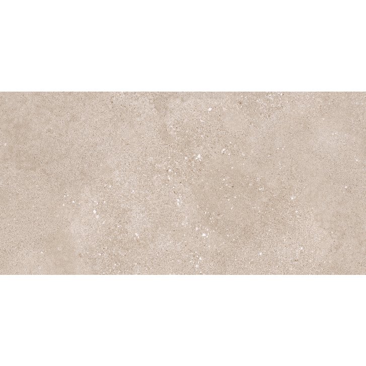 DAKSR794.1_101