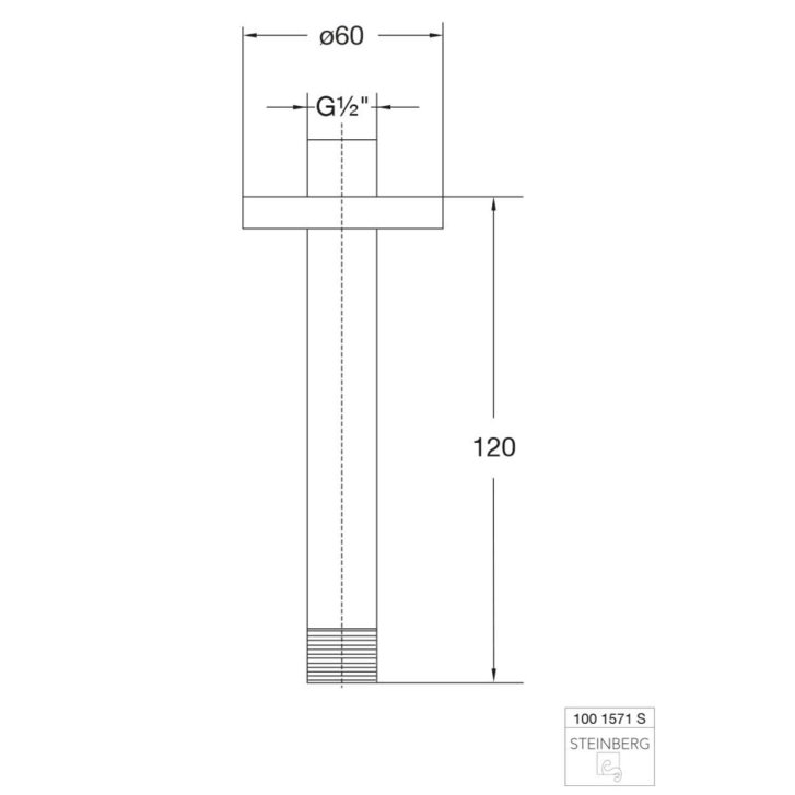 Steinberg 100 - Sprchové rameno stropní, 12 cm, matná černá 100 1571 S