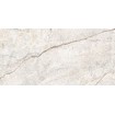 Dlažba SILVER ROOT White 60x120