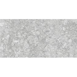 Dlažba a obklad PEDREGAL Silver 60 x 120 cm