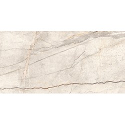 Obklad SILVER ROOT Beige 60x120