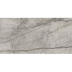 Obklad SILVER ROOT Grey 60x120
