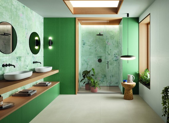 Pokojovky v koupelně – zelená oáza opravdové pohody a vytříbeného stylu