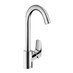Hansgrohe Logis - Dřezová baterie stojánková, chrom 71835000 - galerie #1
