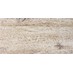 Dlažba SIENA Beige