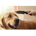 Hansgrohe DogShower - Ruční sprcha pro psa 150 x 63 mm, růžová 26640560 - galerie #1