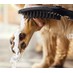 Hansgrohe DogShower - Ruční sprcha pro psa 150 x 63 mm, černá matná 26640670 - galerie #1
