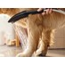 Hansgrohe DogShower - Ruční sprcha pro psa 150 - Bílá matná 26640700 - galerie #4