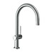 Hansgrohe Talis M54 - Páková kuchyňská baterie 220, 1jet, chrom 72804000