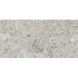Dlažba TERRA GRIGIO CHIARO 60 x 120 cm