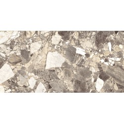 Dlažba COPICO Brown 60 x 120 cm