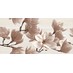 Dekor MAGNOLIA natural 30 × 60