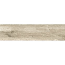 Dlažba SILVIS ACERO 20x120